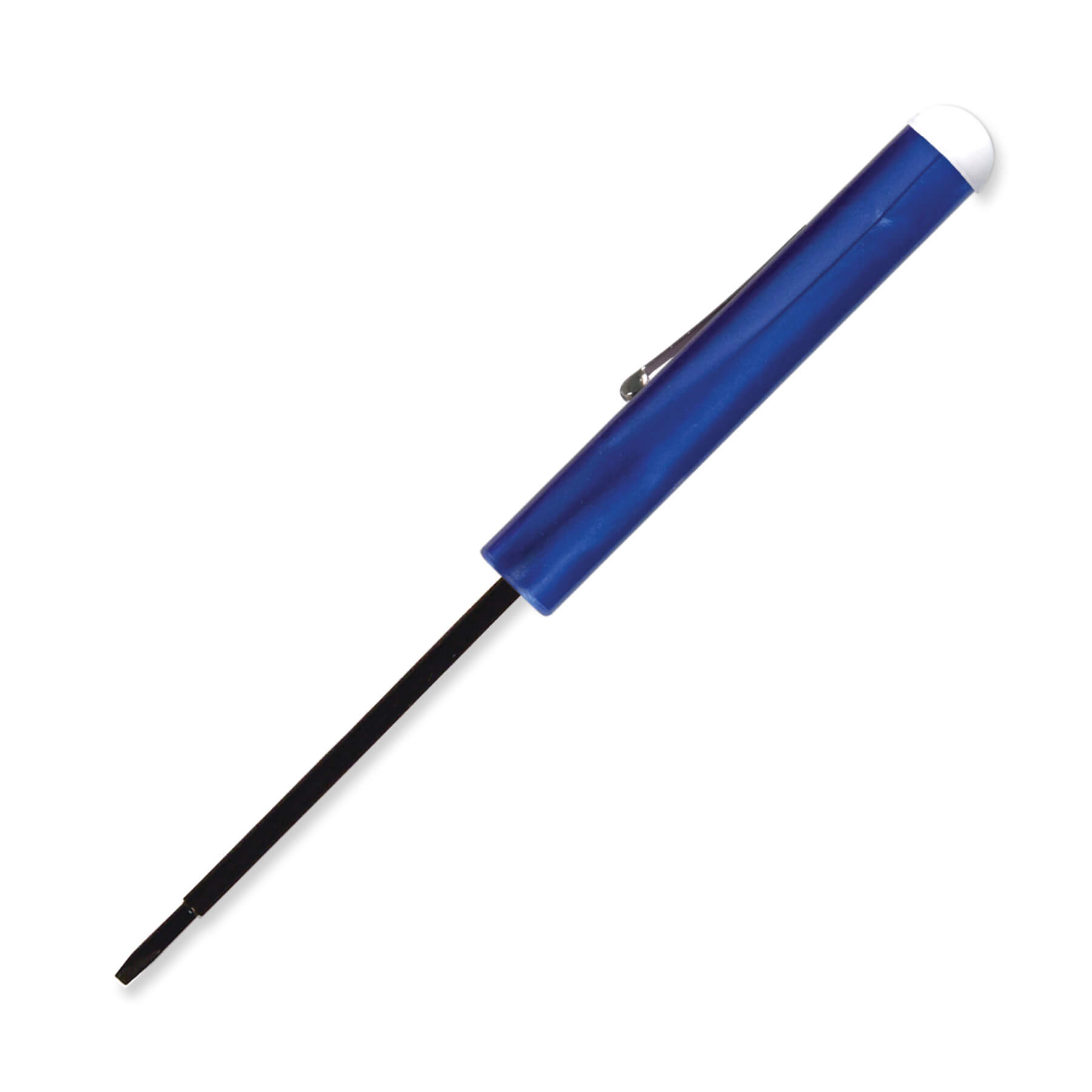 Metallic Blue Blank